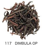 117 DIMBULA OP
