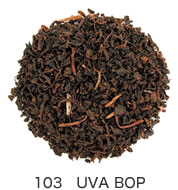 103 UVA BOP